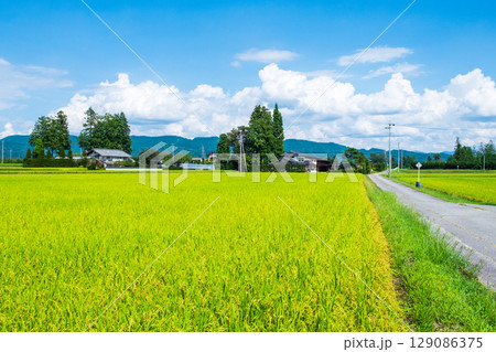 夏の田舎風景 夏の田舎風景 129086375