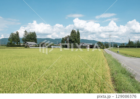夏の田舎風景 夏の田舎風景 129086376