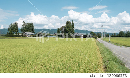 夏の田舎風景 129086378