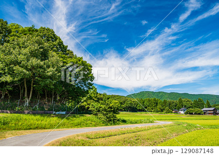 マキノ町の田園風景　滋賀県高島市 129087148