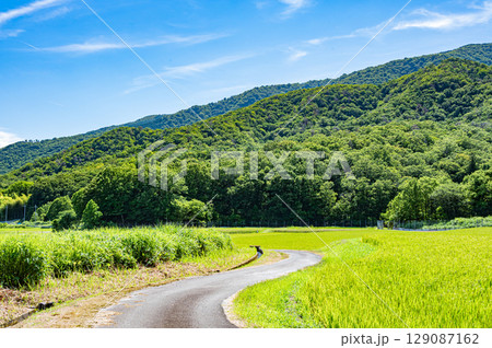 マキノ町の田園風景 滋賀県高島市 マキノ町の田園風景 滋賀県高島市 129087162