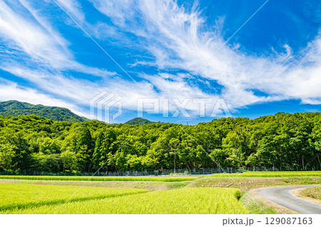 マキノ町の田園風景 滋賀県高島市 マキノ町の田園風景 滋賀県高島市 129087163