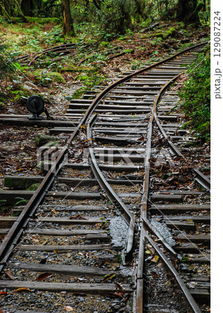 屋久島の森林鉄道の線路のポイント 129087224