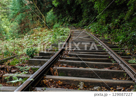屋久島の森林鉄道の線路 129087227
