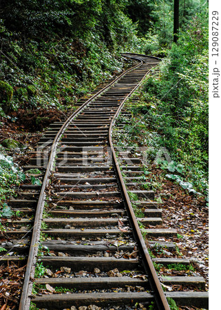 屋久島の森林鉄道の線路 屋久島の森林鉄道の線路 129087229