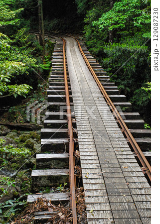 屋久島の森林鉄道の線路と橋梁 屋久島の森林鉄道の線路と橋梁 129087230