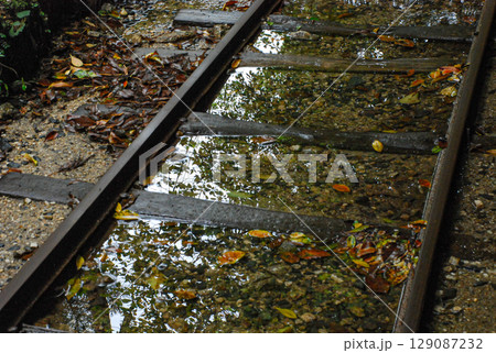 雨水が溢れる屋久島の森林鉄道の線路 129087232