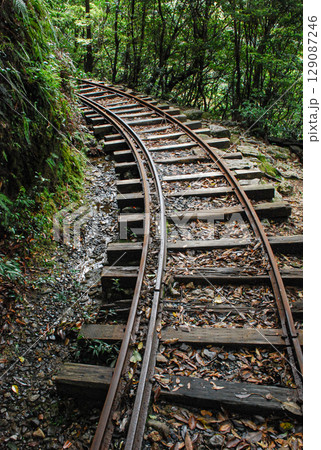 屋久島の森林鉄道の線路 屋久島の森林鉄道の線路 129087246