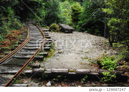 屋久島の森林鉄道の線路 屋久島の森林鉄道の線路 129087247