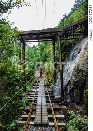 屋久島の森林鉄道の線路 屋久島の森林鉄道の線路 129087248