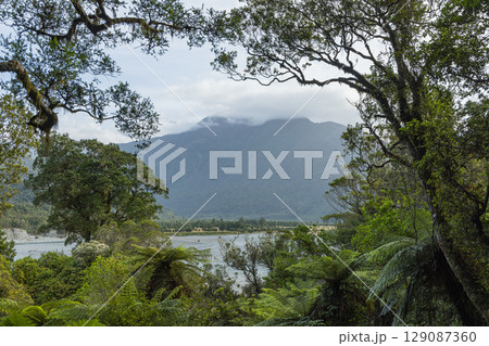 ニュージーランド ウェスト・コースト地方にあるホキティカ渓谷の風景 ニュージーランド ウェスト・コースト地方にあるホキティカ渓谷の風景 129087360