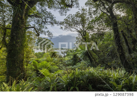 ニュージーランド　ウェスト・コースト地方にあるホキティカ渓谷の風景 129087398