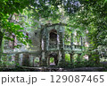 Overgrown Moes Palace built in 1880, Wierbka, Poland 129087465