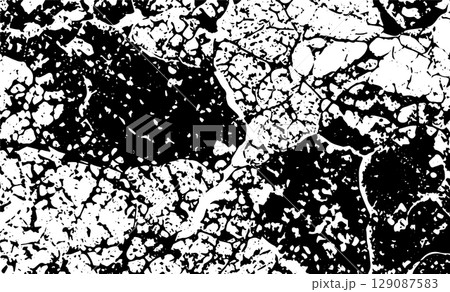 Grunge detailed intertwined texture, threads, lines, wire, veins, monochrome. Grunge old detailed black and white, gray texture. Vector background 129087583