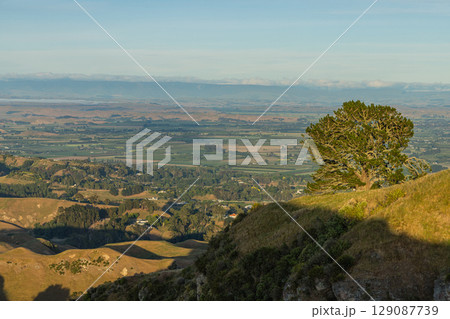 ニュージーランド　ホークス・ベイ地方にあるテ・マタ・ピーク頂上からの朝の風景 129087739