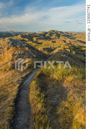 ニュージーランド ホークス・ベイ地方にあるテ・マタ・ピーク頂上からの朝の風景 ニュージーランド ホークス・ベイ地方にあるテ・マタ・ピーク頂上からの朝の風景 129087741