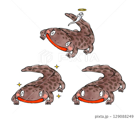 山椒魚セット 129088249