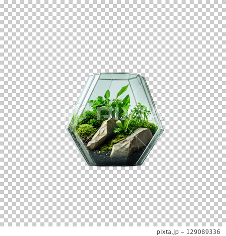 beautiful glass terrarium featuring lush green plants and natural stones, creating serene indoor garden atmosphere. This unique decor piece adds touch of nature to any space beautiful glass terrarium featuring lush green plants and natural stones, creating serene indoor garden atmosphere. This unique decor piece adds touch of nature to any space 129089336