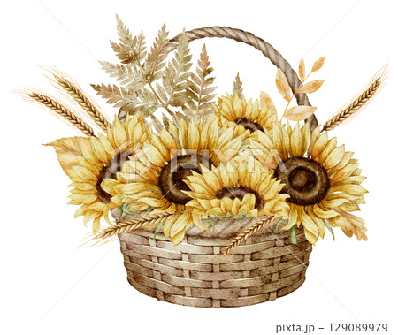 Watercolor illustration of a wicker Basket with blooming Sunflowers, wheat, and fall foliage. Drawing of autumn Flowers for floral autumn greeting, cards, or thanksgiving invitations. 129089979