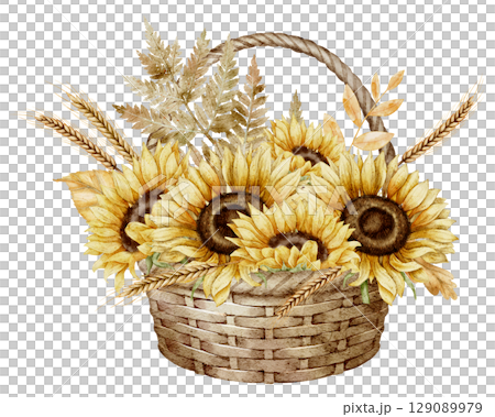 Watercolor illustration of a wicker Basket with blooming Sunflowers, wheat, and fall foliage. Drawing of autumn Flowers for floral autumn greeting, cards, or thanksgiving invitations. 129089979