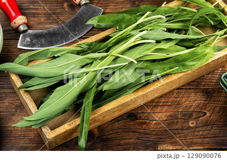 Wild Spring Ramps. Wild Spring Ramps. 129090076