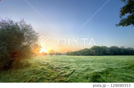 A Serene and Beautiful Sunrise Over a Dewy Meadow Set in a Quiet and Tranquil Landscape A Serene and Beautiful Sunrise Over a Dewy Meadow Set in a Quiet and Tranquil Landscape 129090353