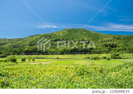 大谷山の麓を通る湖西線　滋賀県高島市マキノ町 129090635