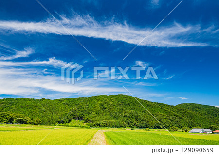 マキノ町の田園風景　滋賀県高島市 129090659