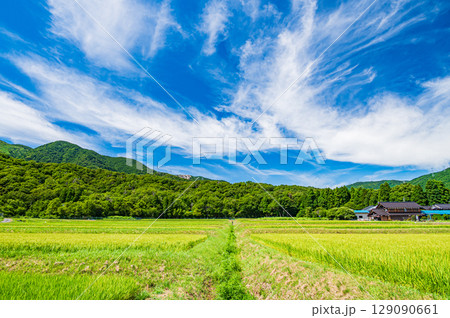 マキノ町の田園風景 滋賀県高島市 マキノ町の田園風景 滋賀県高島市 129090661