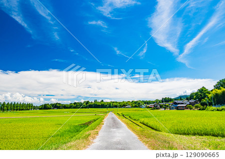 マキノ町の田園風景　滋賀県高島市 129090665