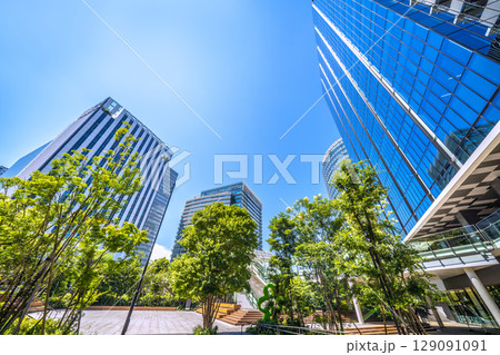 日本の横浜都市景観 7月。新高島駅前のビジネス街などを望む 129091091