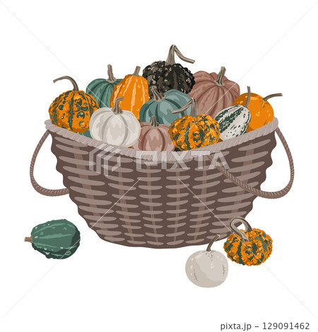 Pumpkin gourds harvest basket, fall composition for Thanksgiving and autumn arrangement card. Vector isolated rustic garden illustration 129091462
