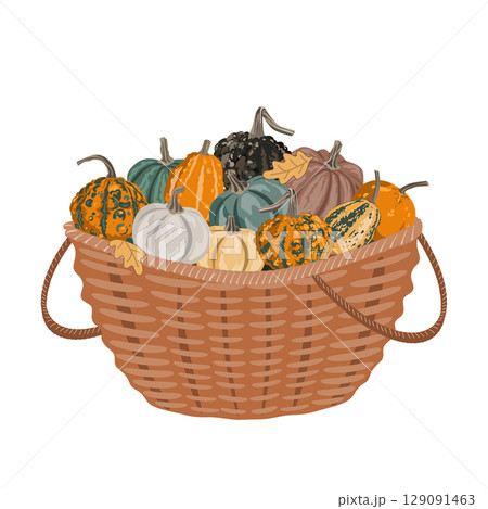 Pumpkin gourds harvest basket, fall composition for Thanksgiving and autumn arrangement card. Vector isolated rustic garden illustration 129091463