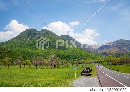 5月の長者原 タデ原湿原とくじゅう連山 5月の長者原 タデ原湿原とくじゅう連山 129091685