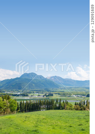 新緑の飯田高原 129091689