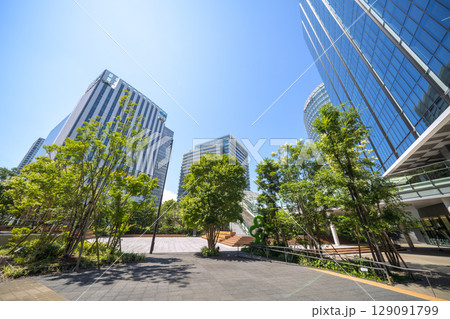 日本の横浜都市景観 7月。新高島駅前のビジネス街などを望む 129091799