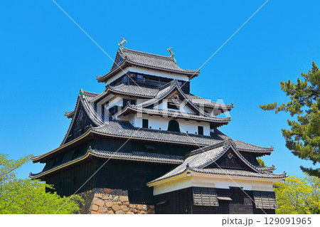 【島根県】春の国宝松江城天守閣（現存12天守） 129091965