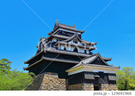 【島根県】春の国宝松江城天守閣(現存12天守) 【島根県】春の国宝松江城天守閣(現存12天守) 129091966