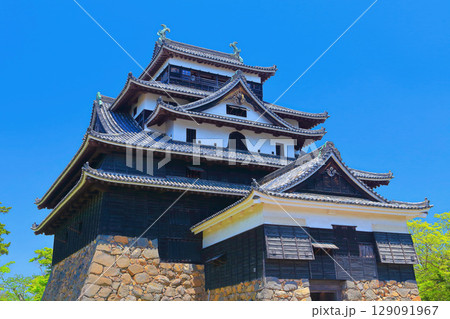 【島根県】春の国宝松江城天守閣（現存12天守） 129091967