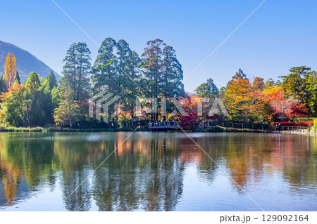 湯布院　金鱗湖紅葉 129092164