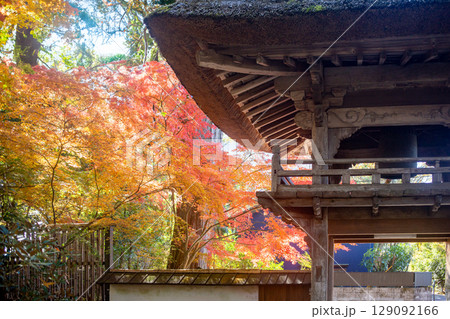 湯布院 佛山寺山門と紅葉 129092166