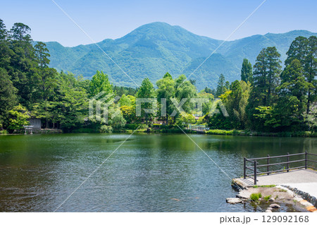 新緑の湯布院金鱗湖 129092168
