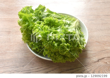 fresh gree lettuce vegetable salad with drop of water arranging on plate 129092199