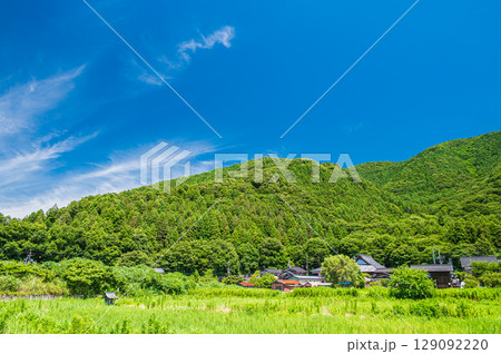 マキノ町の里山風景　滋賀県高島市 129092220