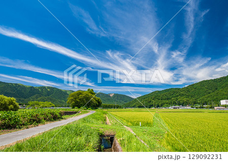 高島市マキノ町の田園風景 滋賀県 高島市マキノ町の田園風景 滋賀県 129092231