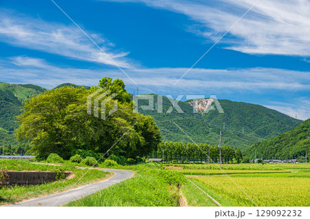 高島市マキノ町の田園風景　滋賀県 129092232