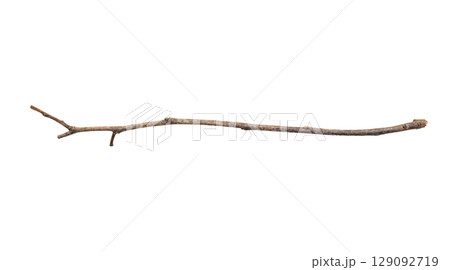 Dry tree branches isolated on white background 129092719