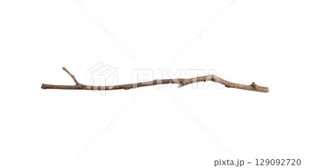 Dry tree branches isolated on white background 129092720