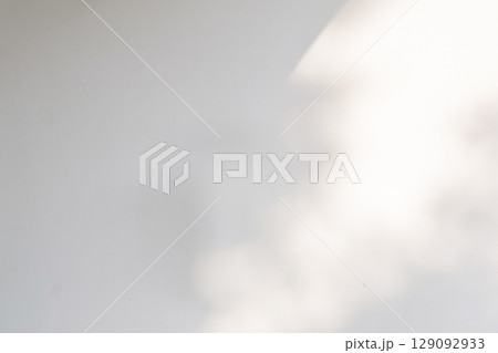 Abstract natural tree leaves shadow on white wall background 129092933