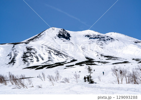 位ヶ原から見上げる乗鞍大雪渓と剣ヶ峰 ゴールデンウイーク残雪期の北アルプス乗鞍岳登山 位ヶ原から見上げる乗鞍大雪渓と剣ヶ峰 ゴールデンウイーク残雪期の北アルプス乗鞍岳登山 129093288